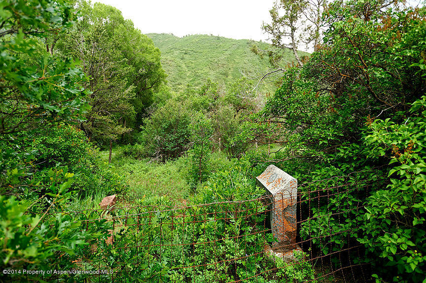 677 Lower River Road Snowmass, CO 81654 - Photo 8 of 12 Dart_WEB03