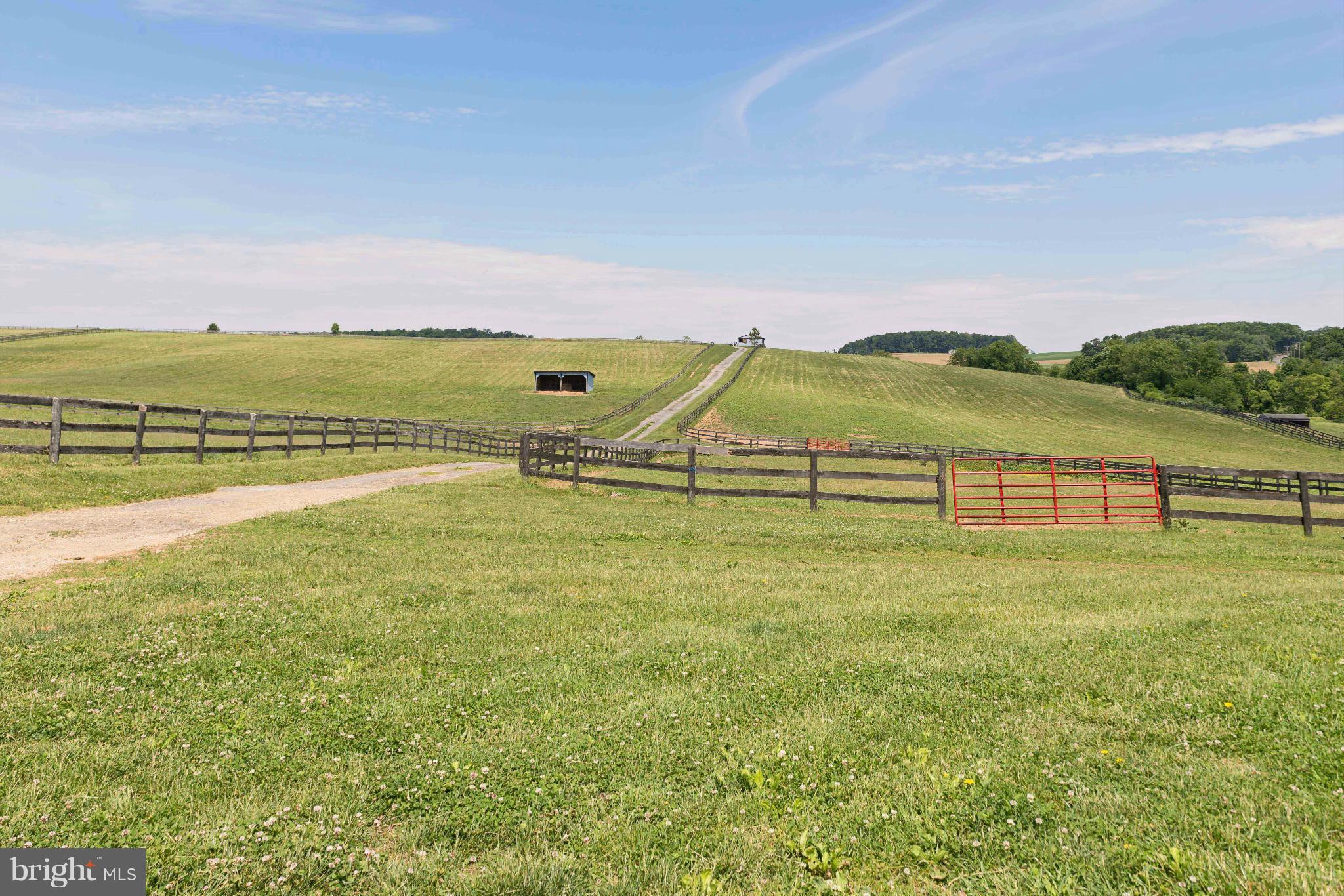 3637 Black Rock Road Upperco, MD 21155 - Photo 17 of 30 Pasture