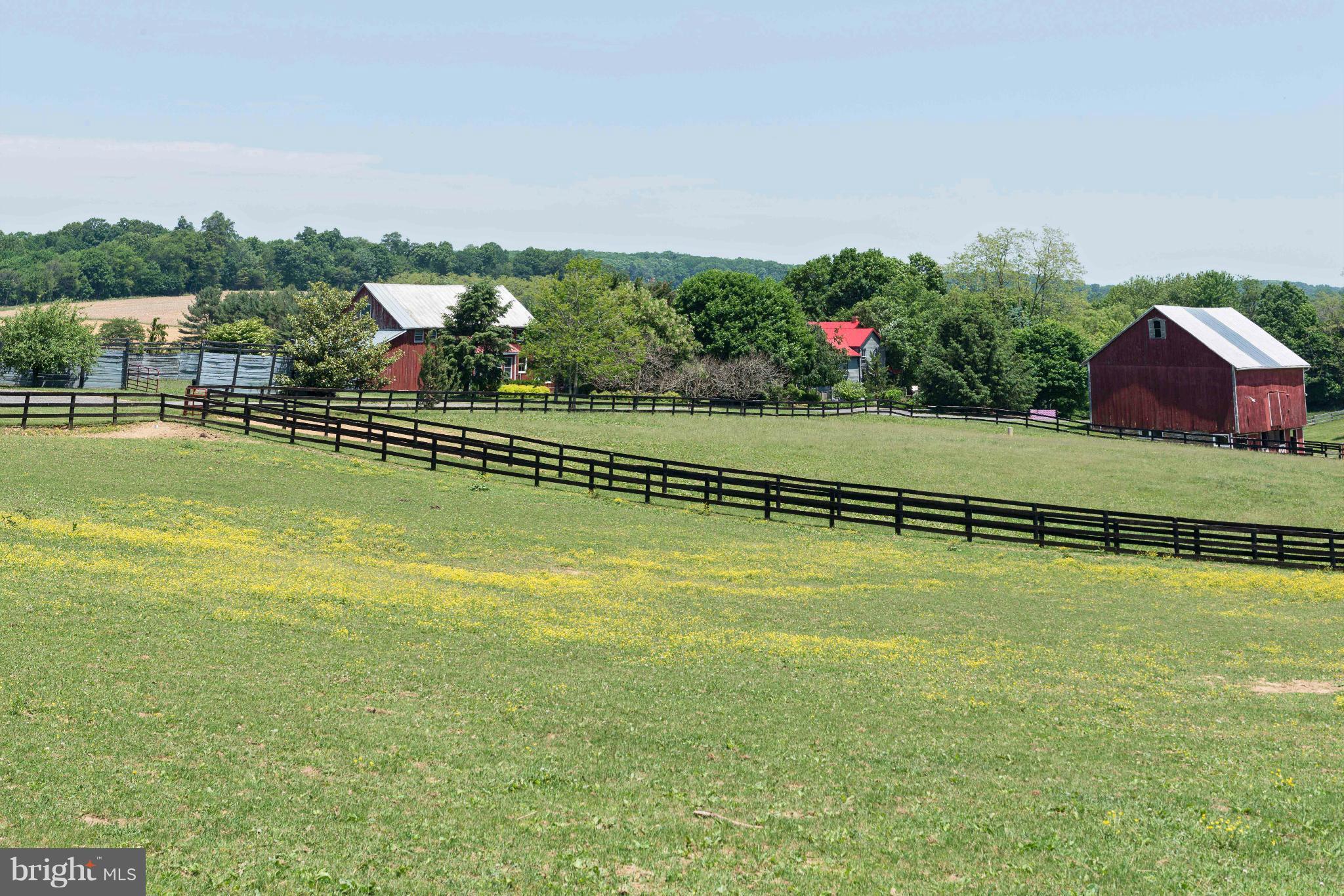 3637 Black Rock Road Upperco, MD 21155 - Photo 4 of 30 Lush Pastures