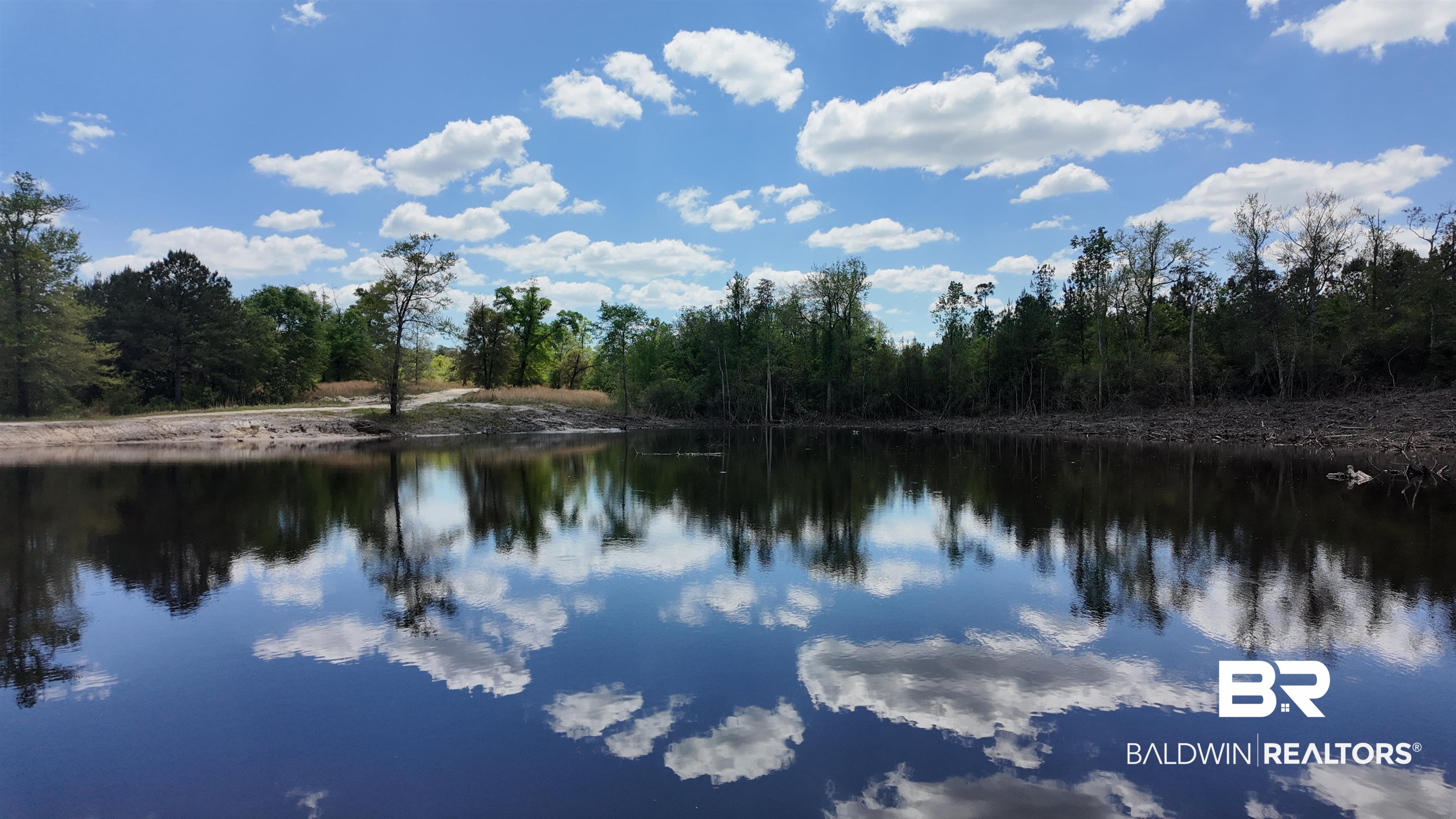 0 Powell Road Eight Mile, AL 36613 - Photo 54 of 57