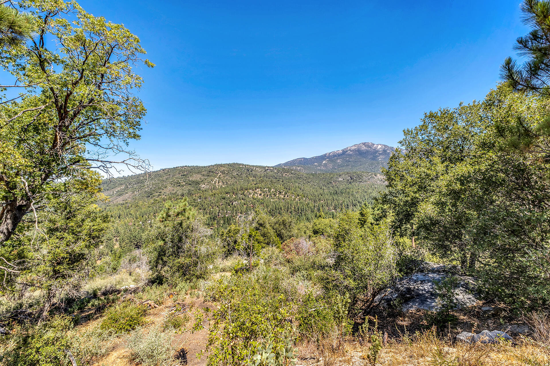 52600 Double View Drive Idyllwild, CA 92549 - Photo 65 of 75 IMG_5771