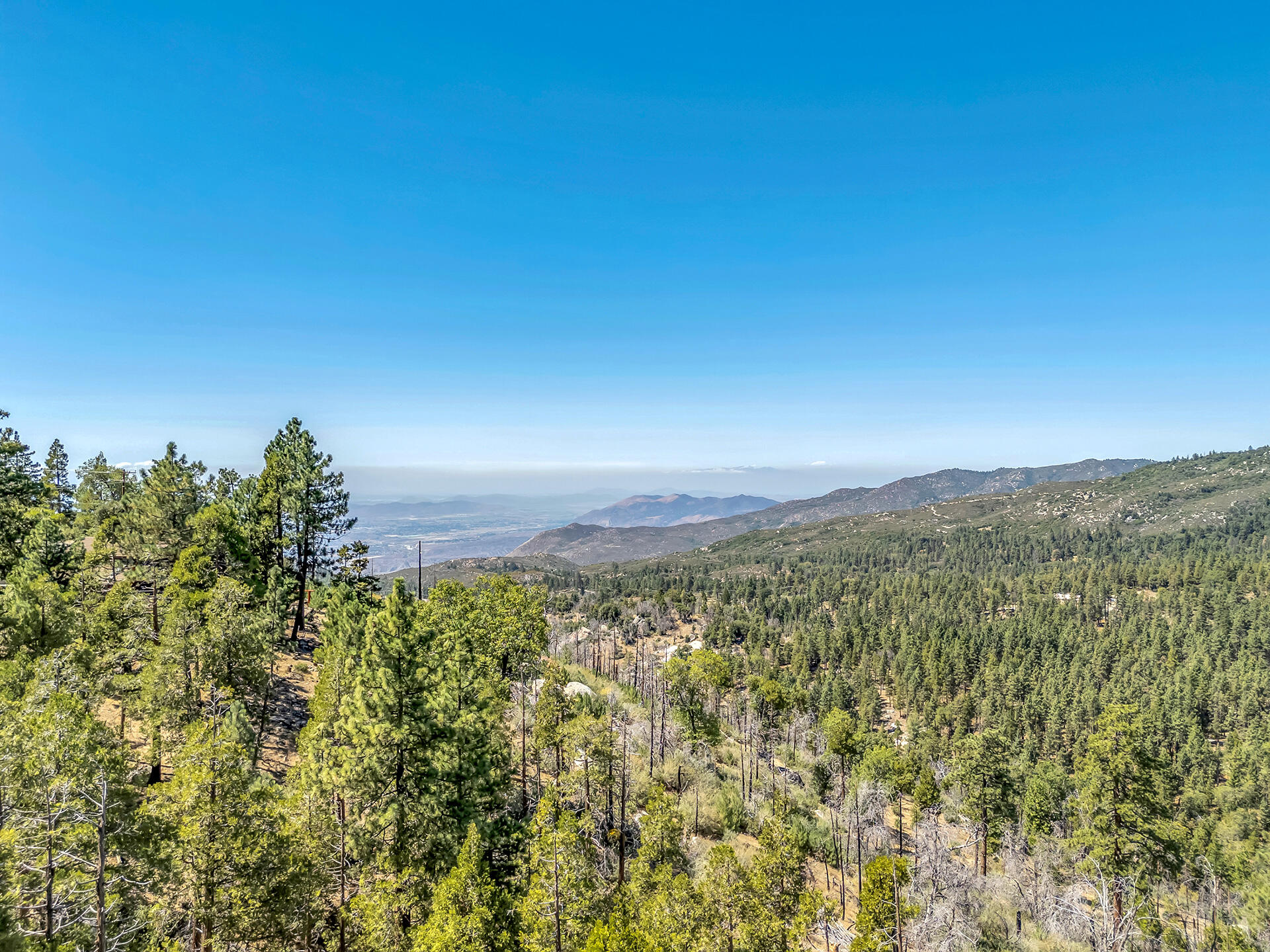 52600 Double View Drive Idyllwild, CA 92549 - Photo 67 of 75 DJI_20250910133102_0724_D