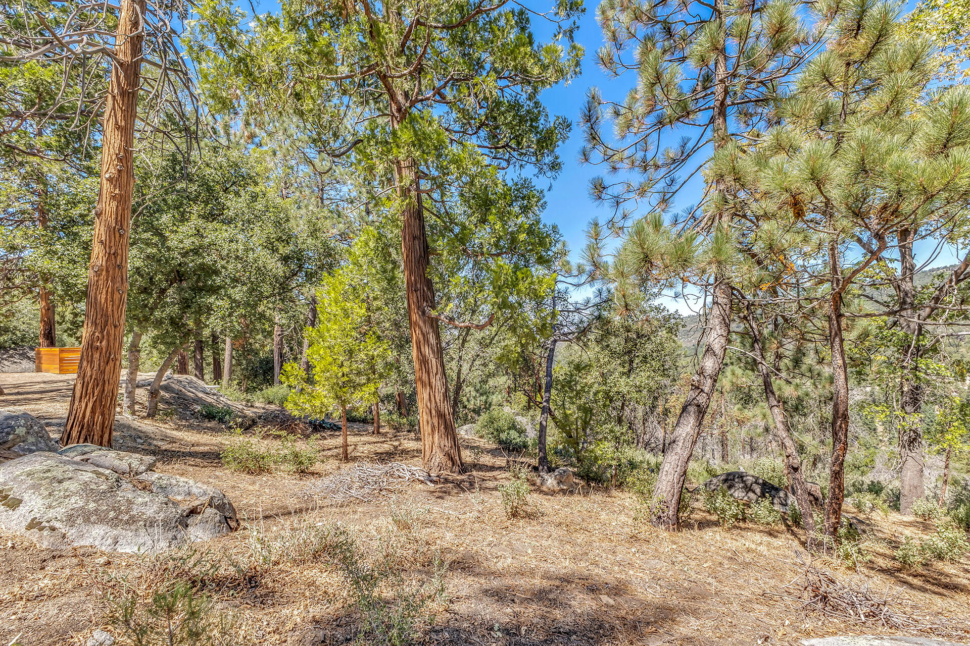 52600 Double View Drive Idyllwild, CA 92549 - Photo 69 of 75 IMG_5821