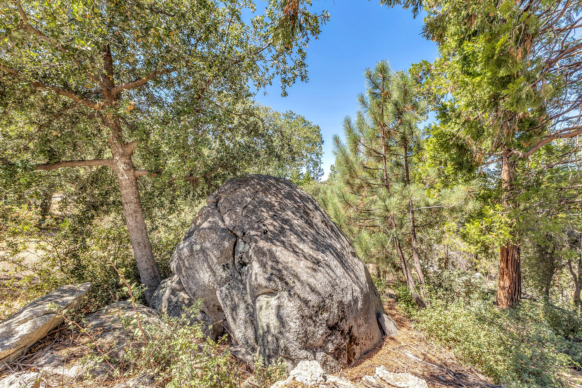 52600 Double View Drive Idyllwild, CA 92549 - Photo 70 of 75 IMG_5906