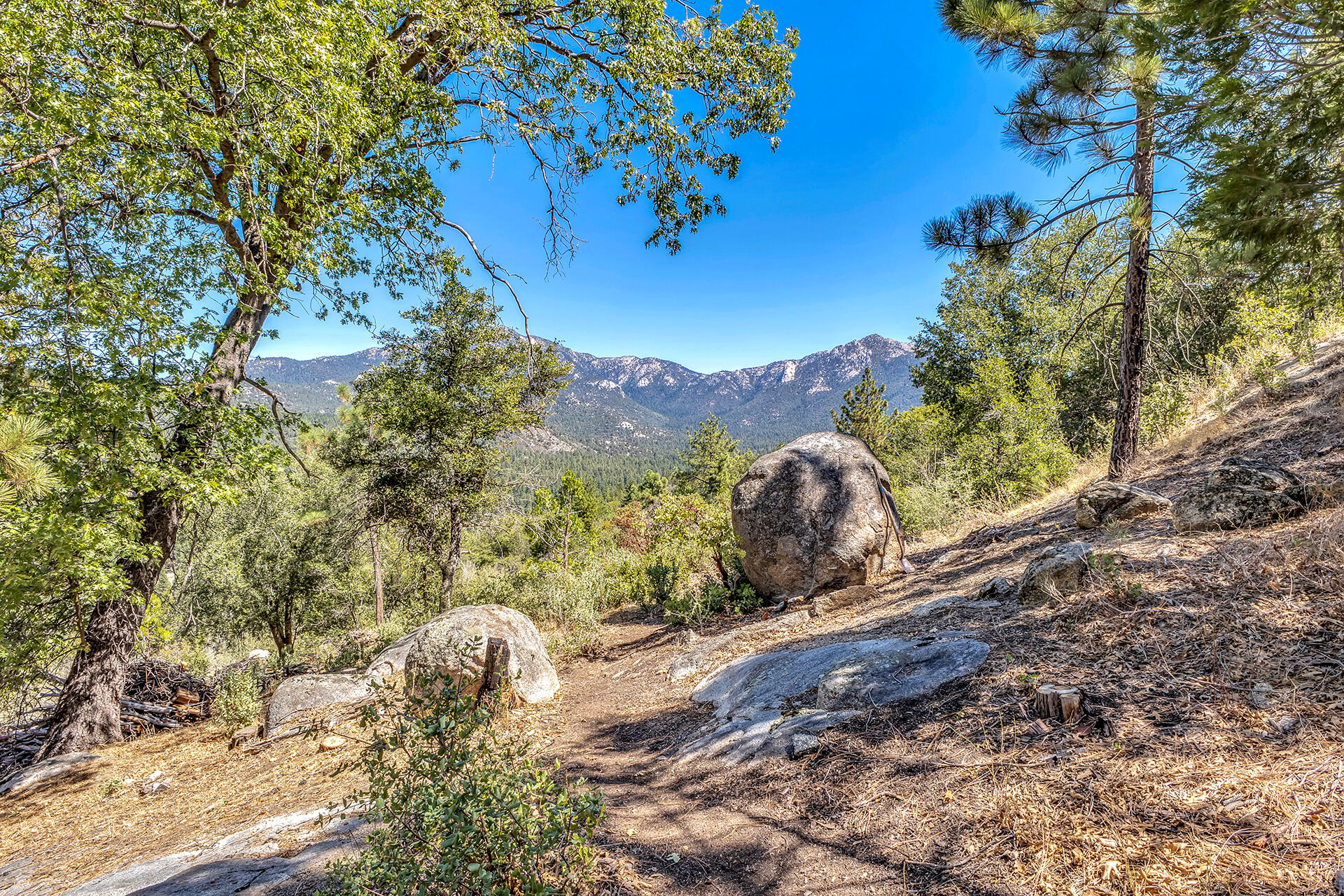 52600 Double View Drive Idyllwild, CA 92549 - Photo 7 of 75 IMG_5776