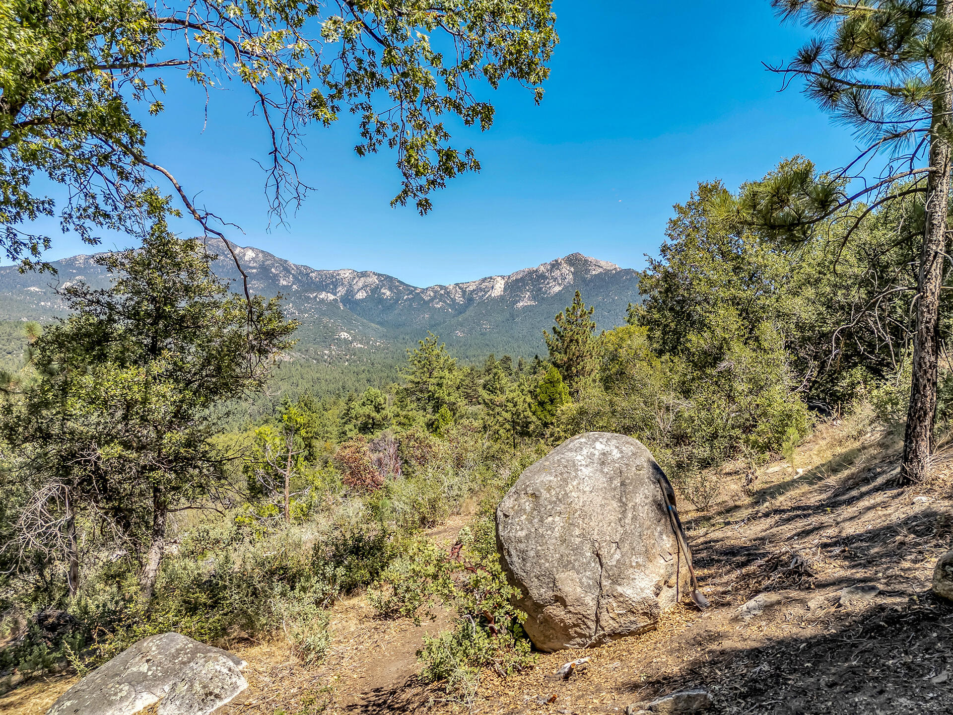 52600 Double View Drive Idyllwild, CA 92549 - Photo 71 of 75 a view of a backyard of a house