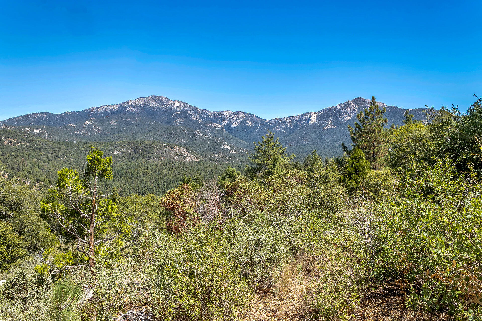 52600 Double View Drive Idyllwild, CA 92549 - Photo 8 of 75 a view of a city with a mountain in the background