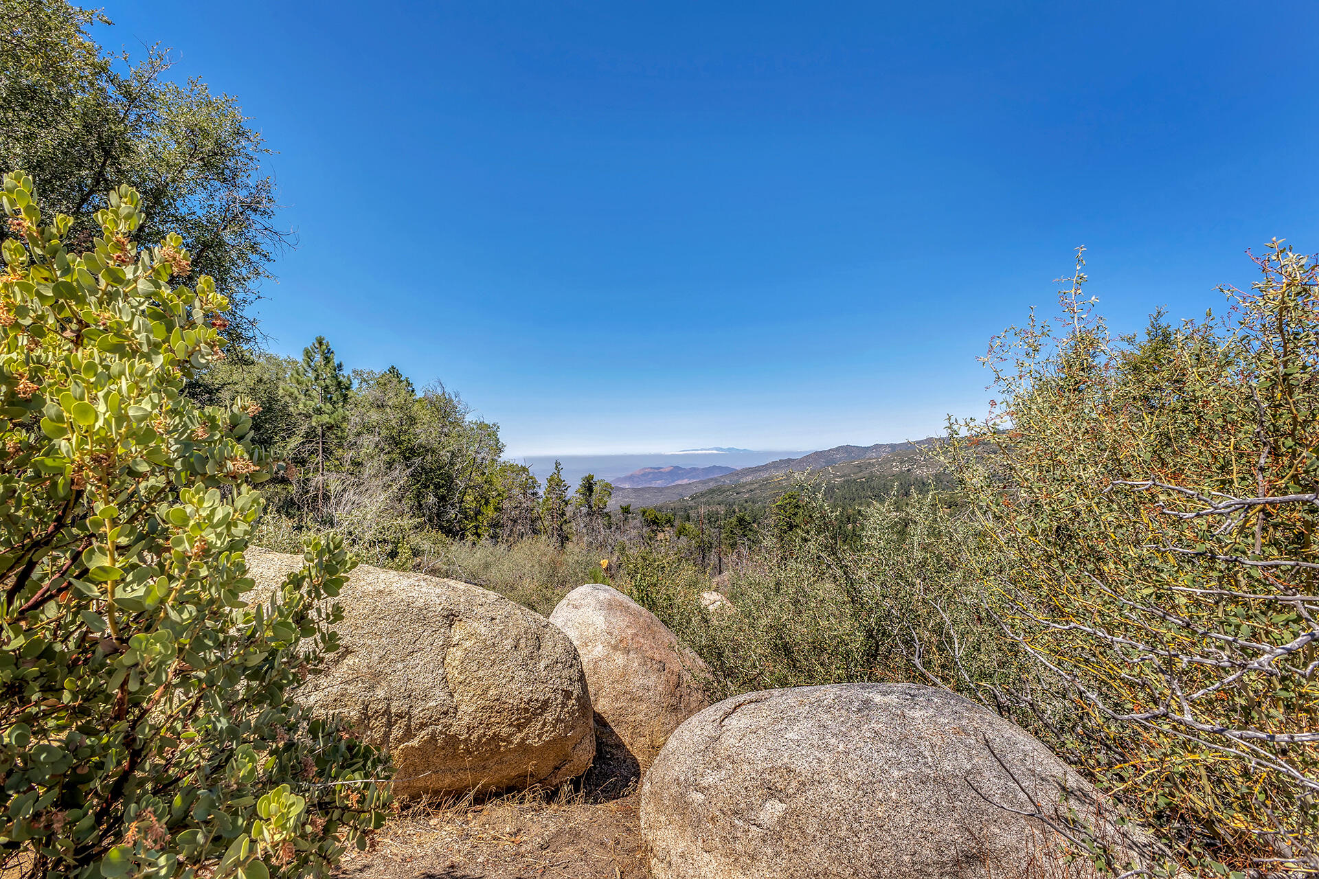 52600 Double View Drive Idyllwild, CA 92549 - Photo 10 of 75 IMG_5801