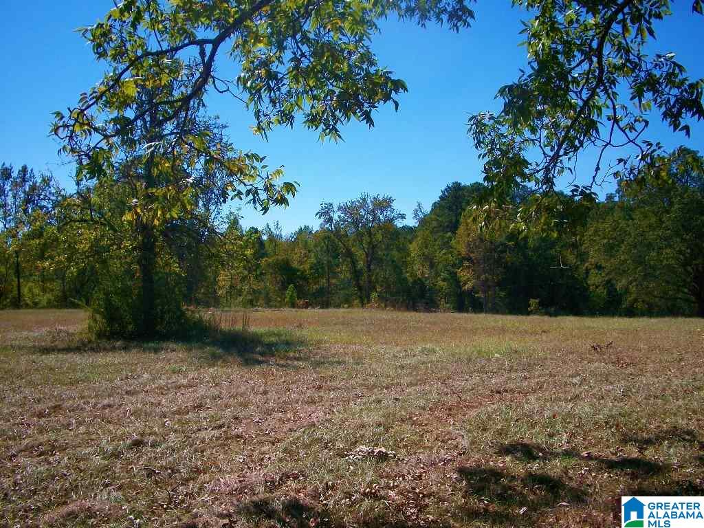 205 Gessler Drive Ohatchee, AL 36271 - Photo 33 of 50