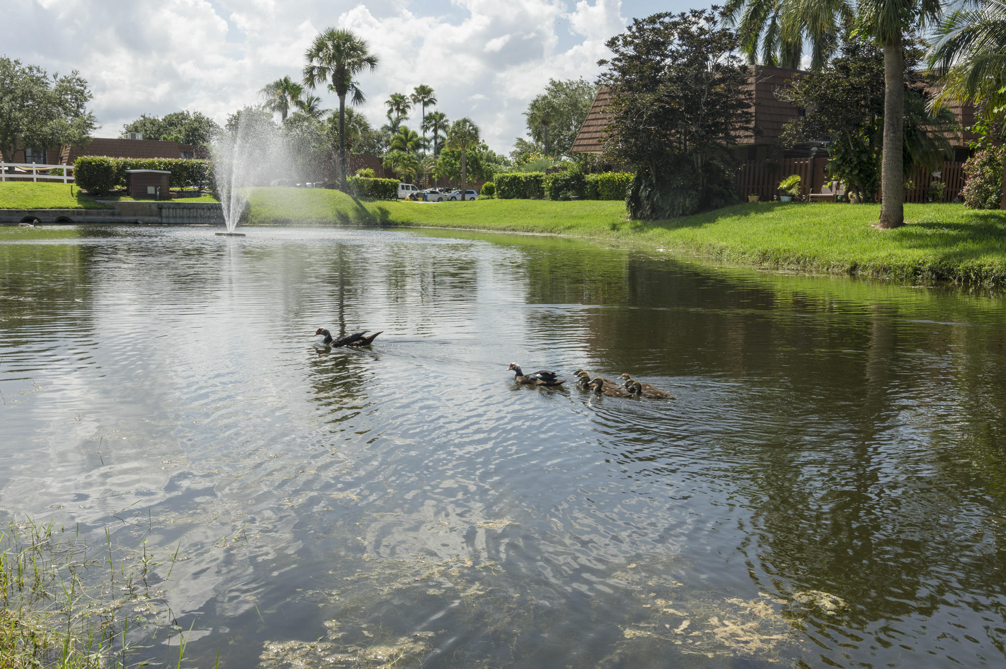 825 Center Street, Unit 10B Jupiter, FL 33458 - Photo 26 of 30 _IMG0996