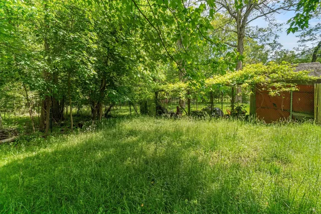 a view of a lush green space
