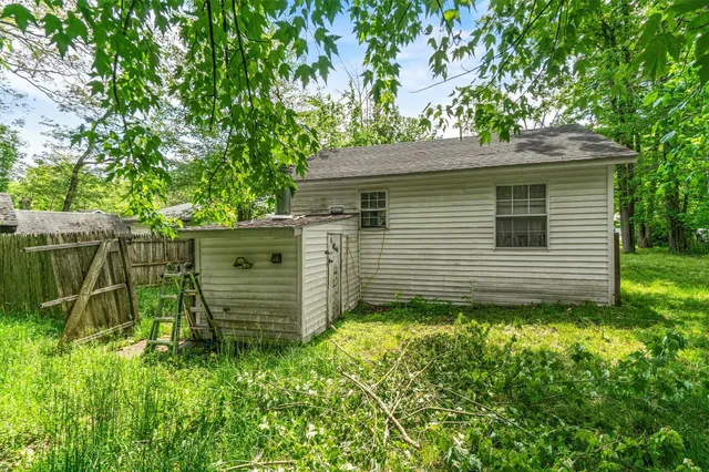 a view of a backyard with plants