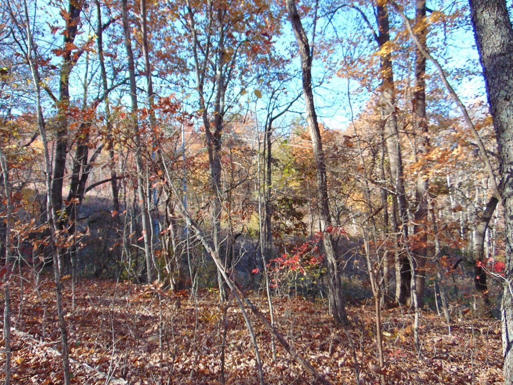 0 Raccoon Ridge Road Spring City, TN 37381 - Photo 52 of 70