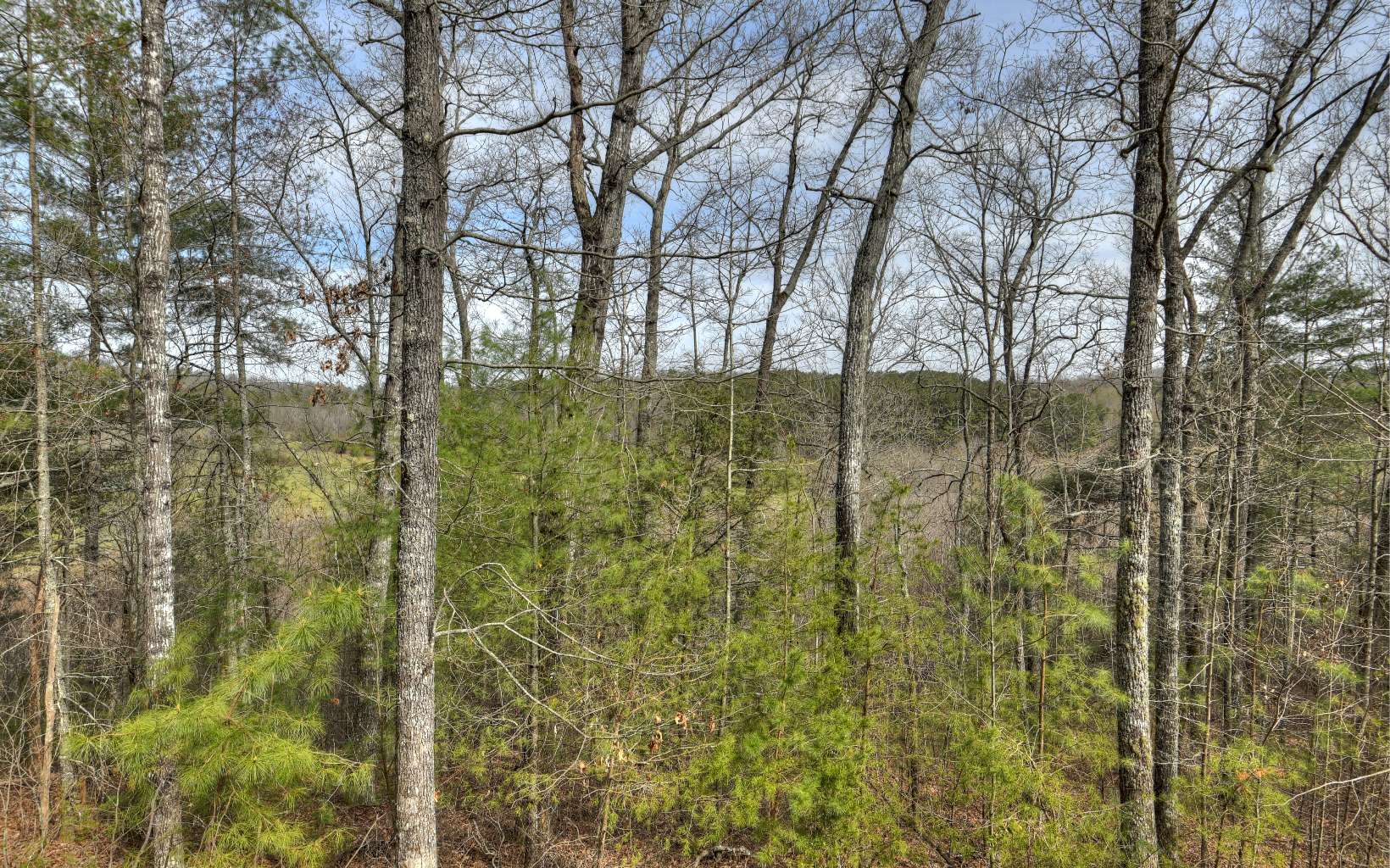 207 Melchizedek Way Blue Ridge, GA 30513 - Photo 4 of 4 Additional View