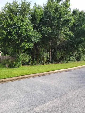 a view of a yard with a large trees