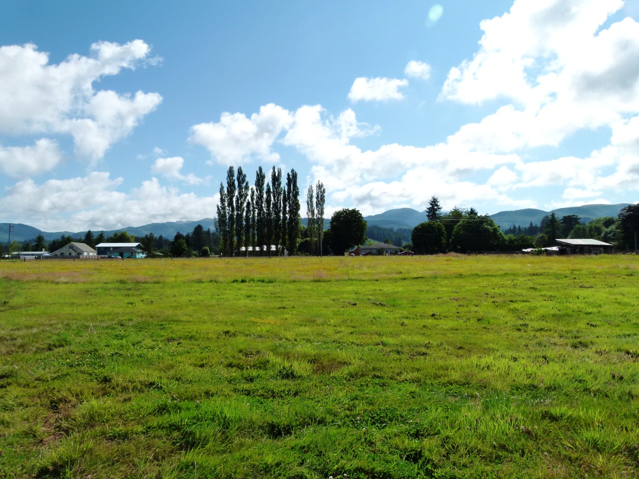 5990 Creekside Mdws Road Tillamook, OR 97141 - Photo 2 of 4 MOUNTAIN VIEW TO SOUTHEAST