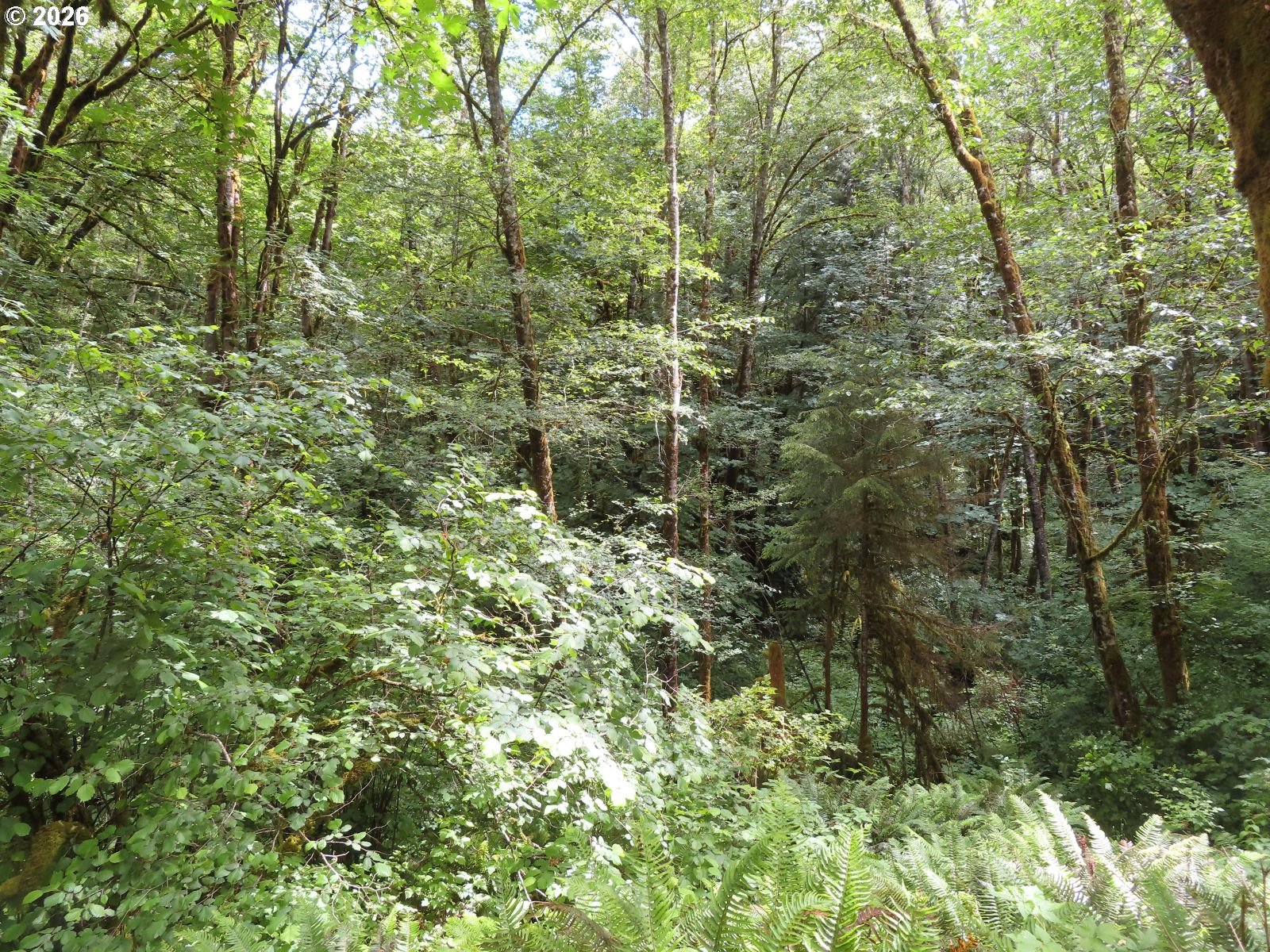 Sylvan Way Longview, WA 98632 - Photo 12 of 17
