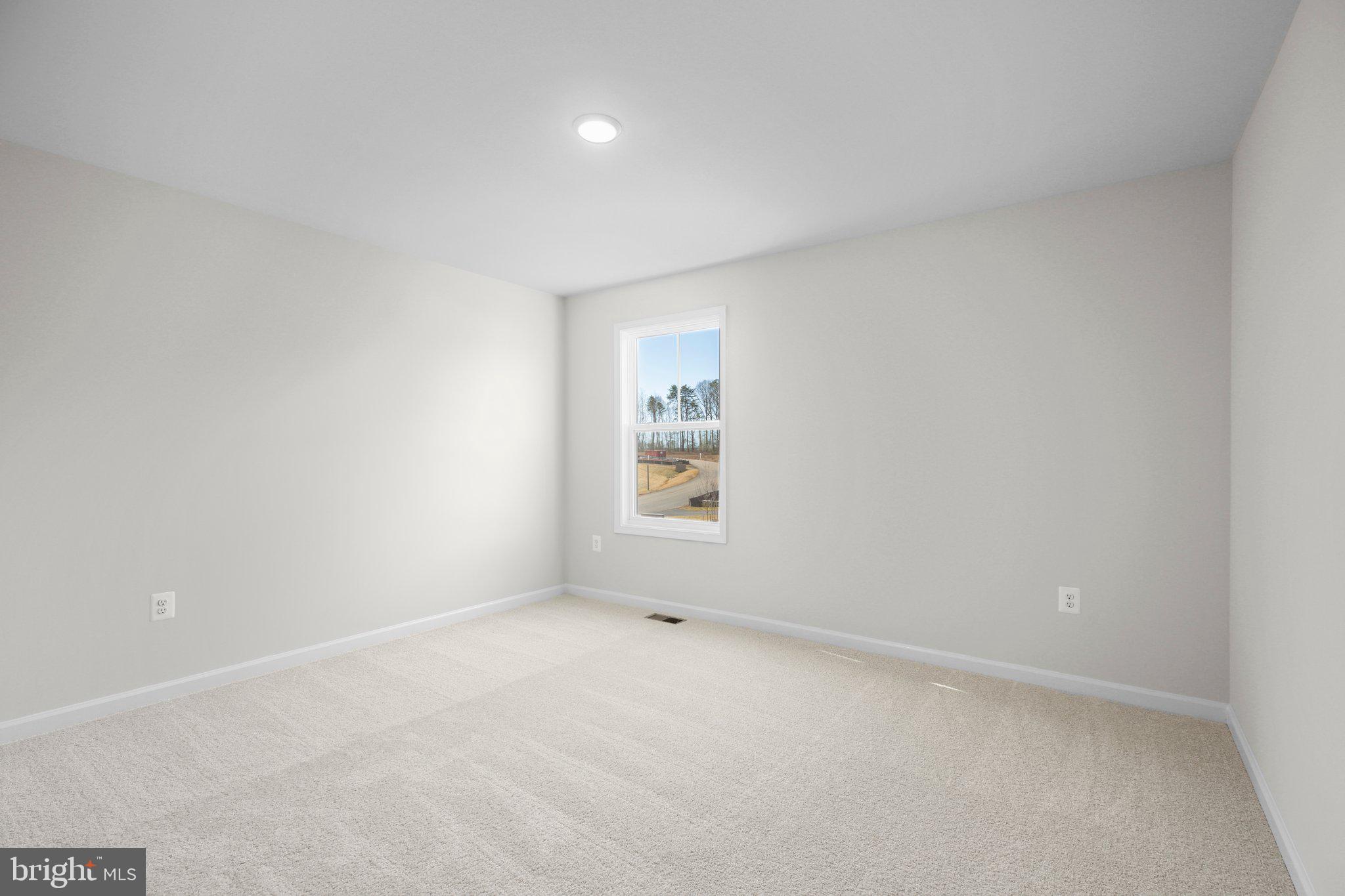 0 Zoar Road Locust Grove, VA 22508 - Photo 44 of 54