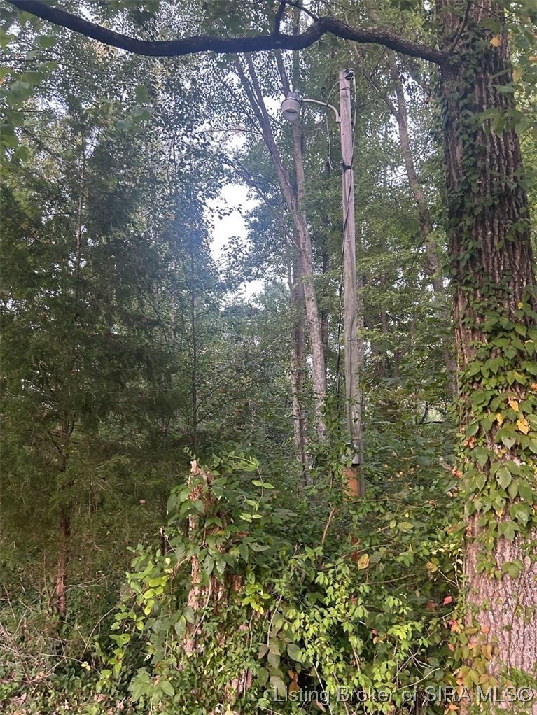 3411 Crone Road Borden, IN 47106 - Photo 2 of 2