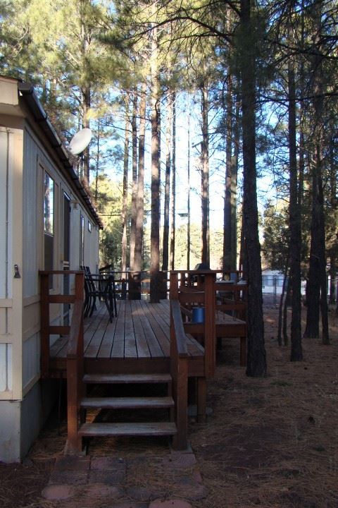 1130 North 43rd Loop Show Low, AZ 85901 - Photo 11 of 12