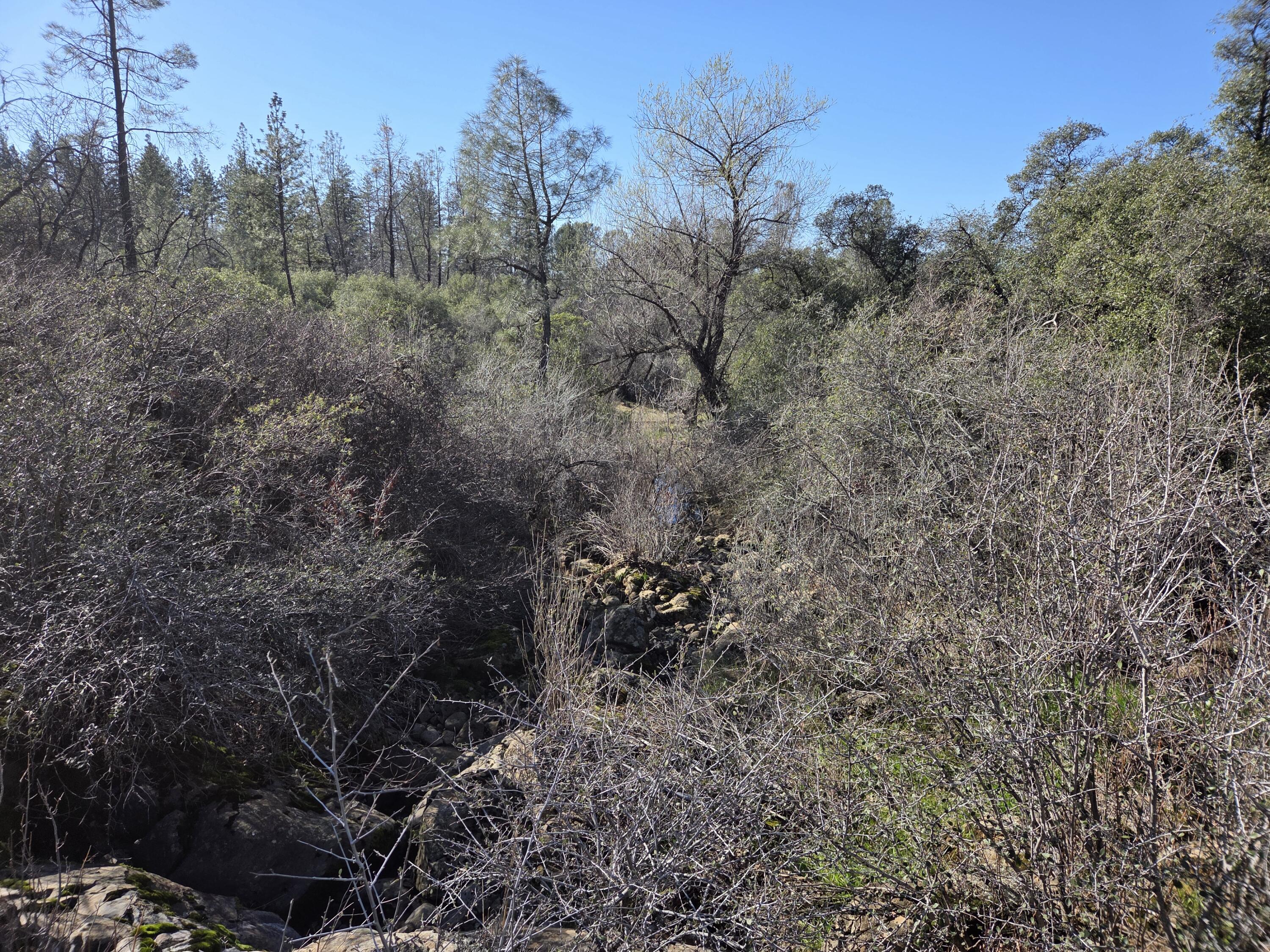 6612 Black Butte Road Shingletown, CA 96088 - Photo 30 of 35 SEASONAL STREAM
