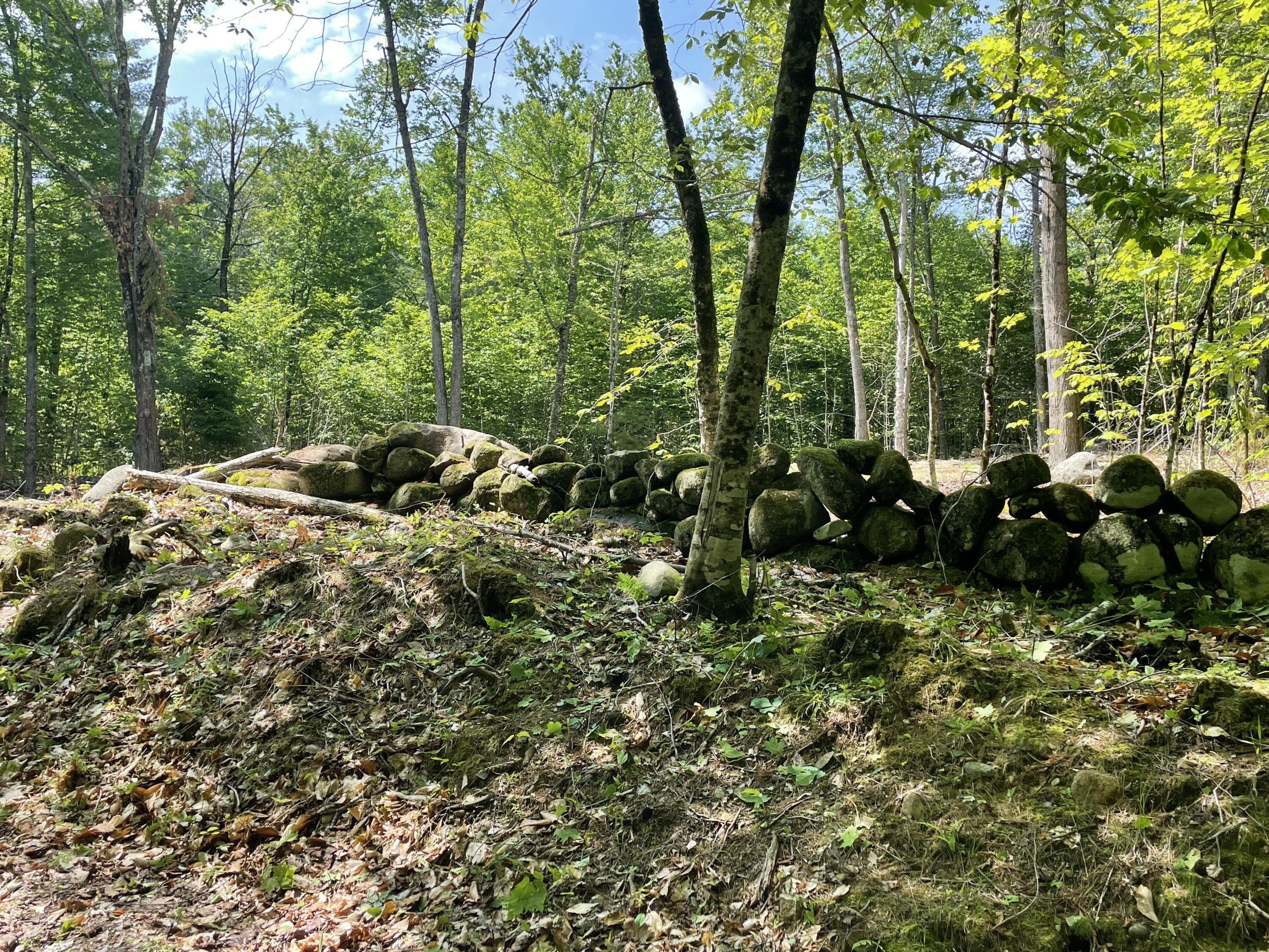 0 Homestead Hill Road Mercer, ME 04957 - Photo 9 of 13
