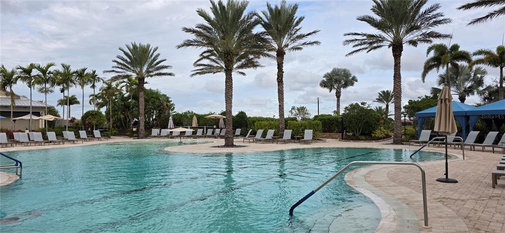 13608 Messina Loop, Unit 202 Bradenton, FL 34211 - Photo 56 of 73 a view of swimming pool with table and chairs