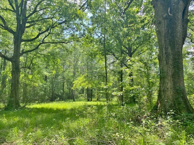 4172 Hamp Lea Road Magnolia, MS 39652 - Photo 25 of 27 Photo 25