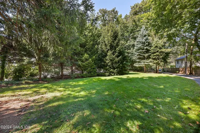 a view of a yard with a trees