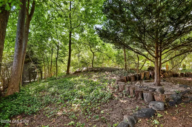 a view of backyard with green space