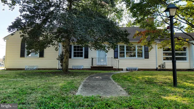 a backyard of house with a large tree