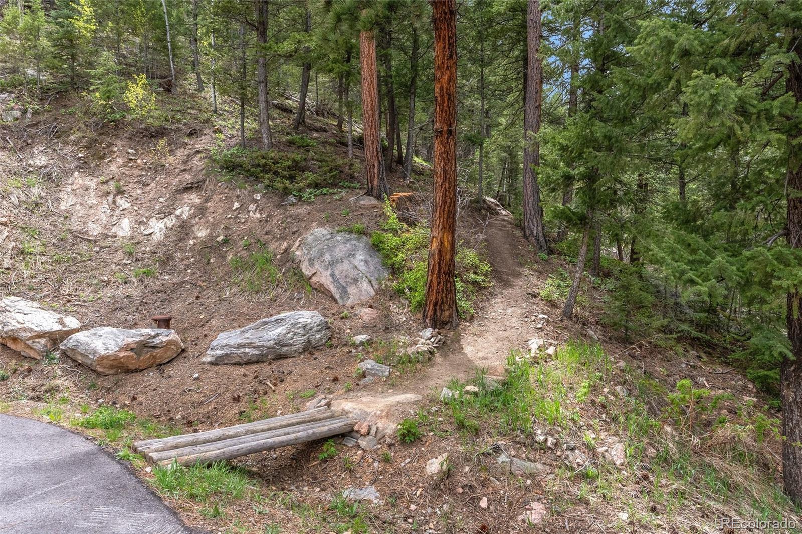 9218 South Turkey Creek Road Morrison, CO 80465 - Photo 34 of 44 a backyard of a house with lots of green space