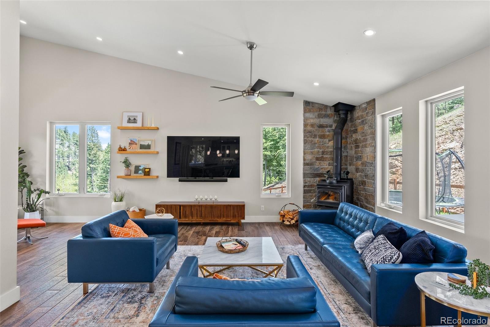 9218 South Turkey Creek Road Morrison, CO 80465 - Photo 10 of 44 a living room with furniture and a flat screen tv