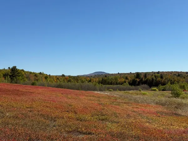 $679,000 | Map19-lot28 Leach Road, Penobscot, ME 04476