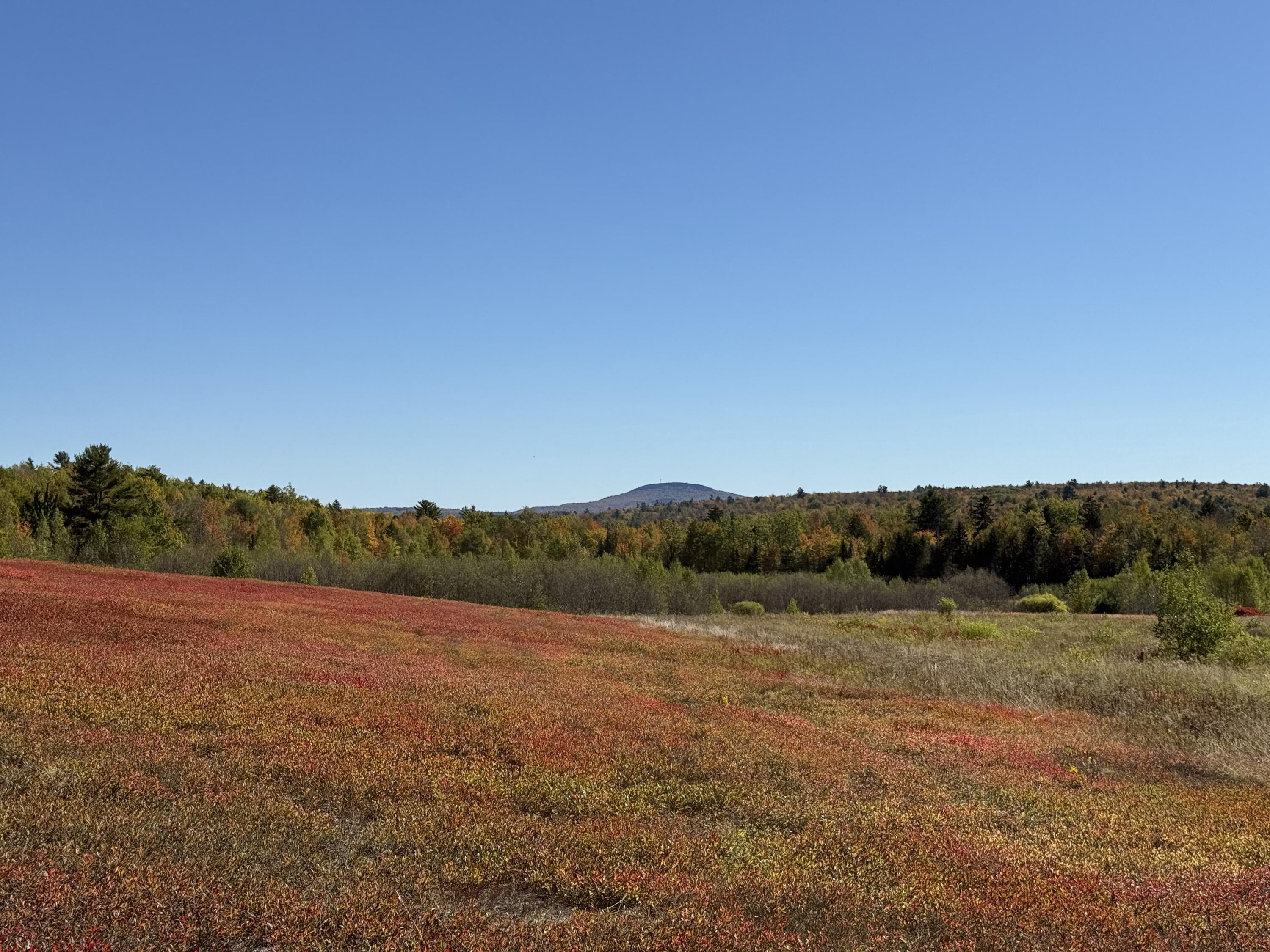 MAP 19 LOT 28