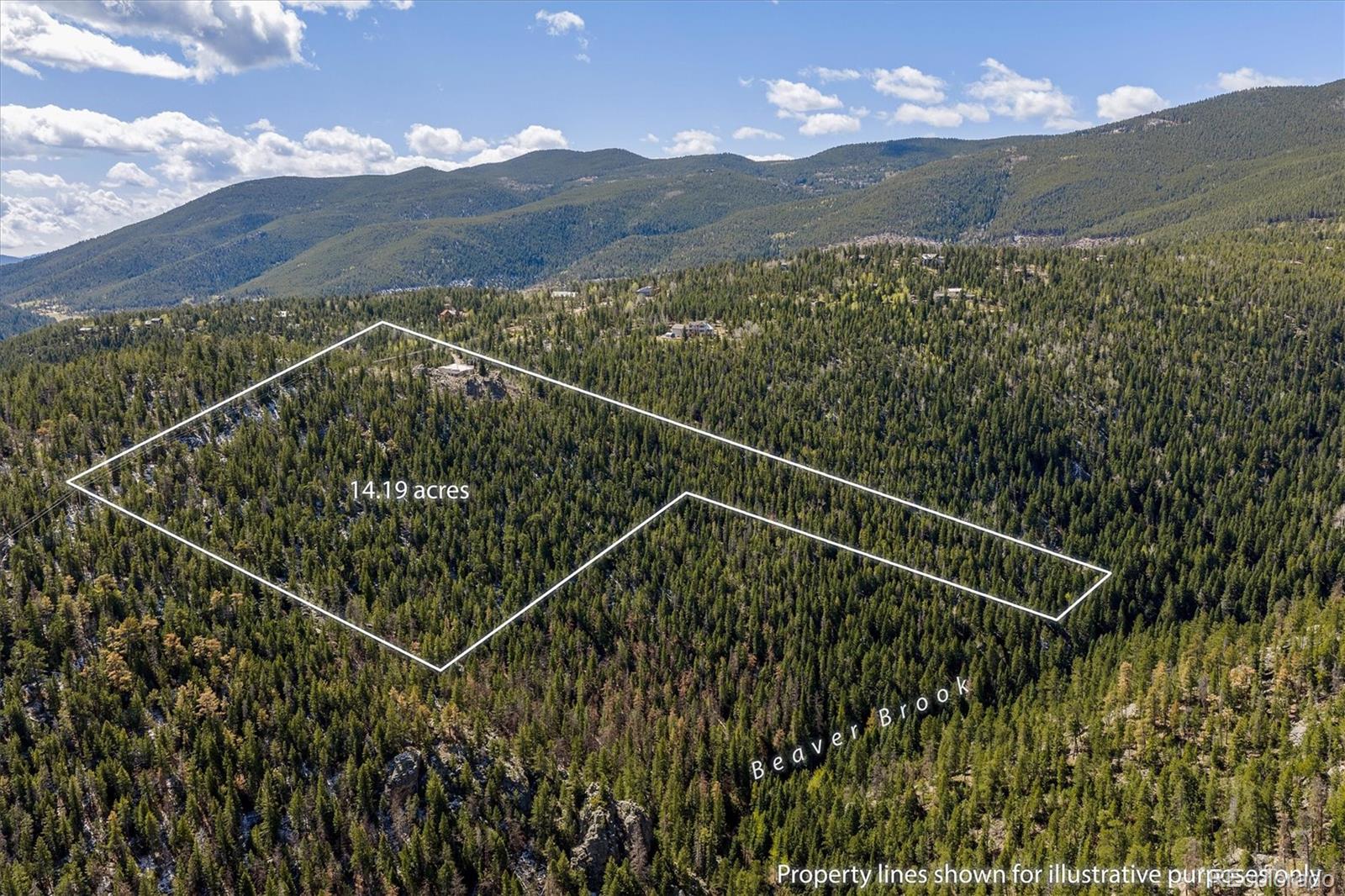 263 Barrows Ranch Road Evergreen, CO 80439 - Photo 46 of 47
