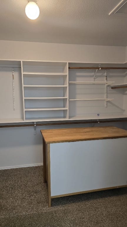 7704 Earp Way Austin, TX 78729 - Photo 10 of 20 a view of storage and utility room with washer and dryer