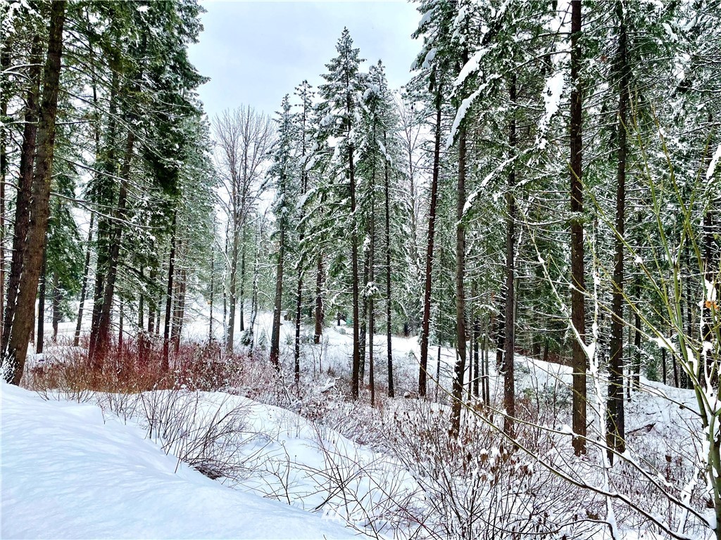 0 River Road Leavenworth, WA 98826 - Photo 3 of 14 Gallery Image 3