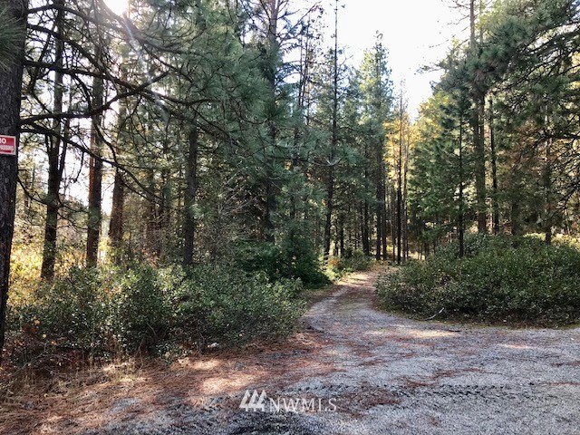 0 River Road Leavenworth, WA 98826 - Photo 4 of 14 Gallery Image 4