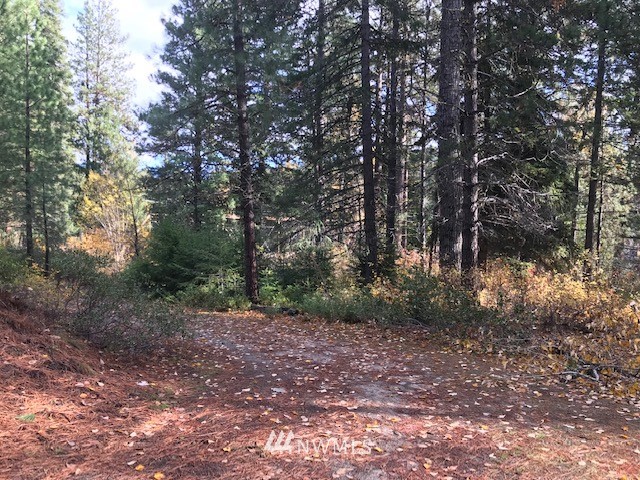 0 River Road Leavenworth, WA 98826 - Photo 9 of 14 Gallery Image 9