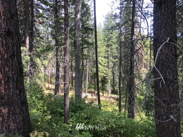 0 River Road Leavenworth, WA 98826 - Photo 10 of 14 Gallery Image 10