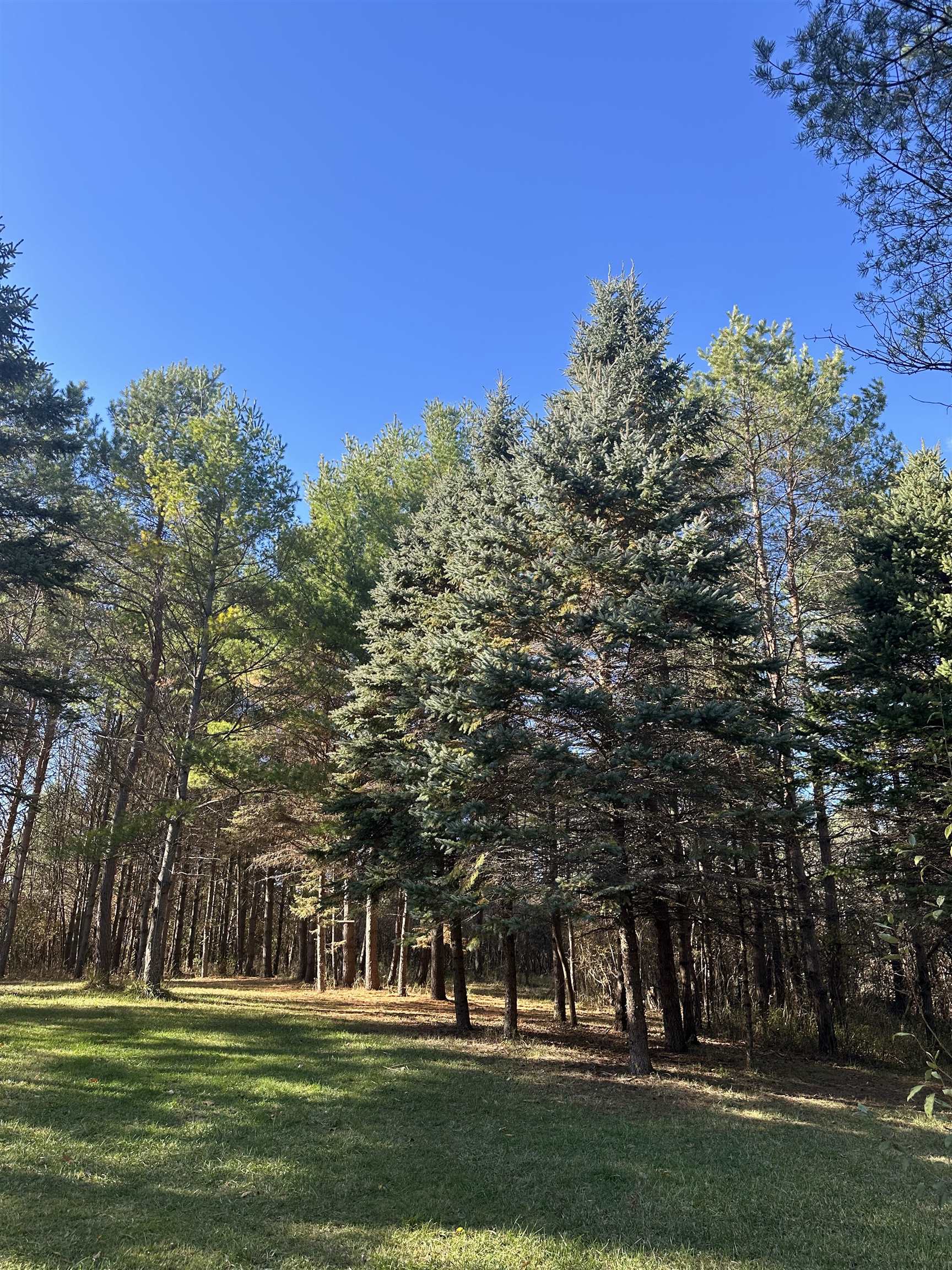 0 Drier Road Standish, MI 48658 - Photo 11 of 34