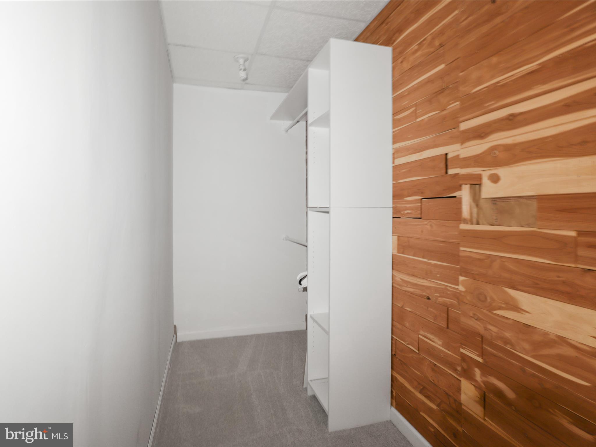 7533 Hollindale Court Alexandria, VA 22306 - Photo 49 of 78 Cedar closet on lower level