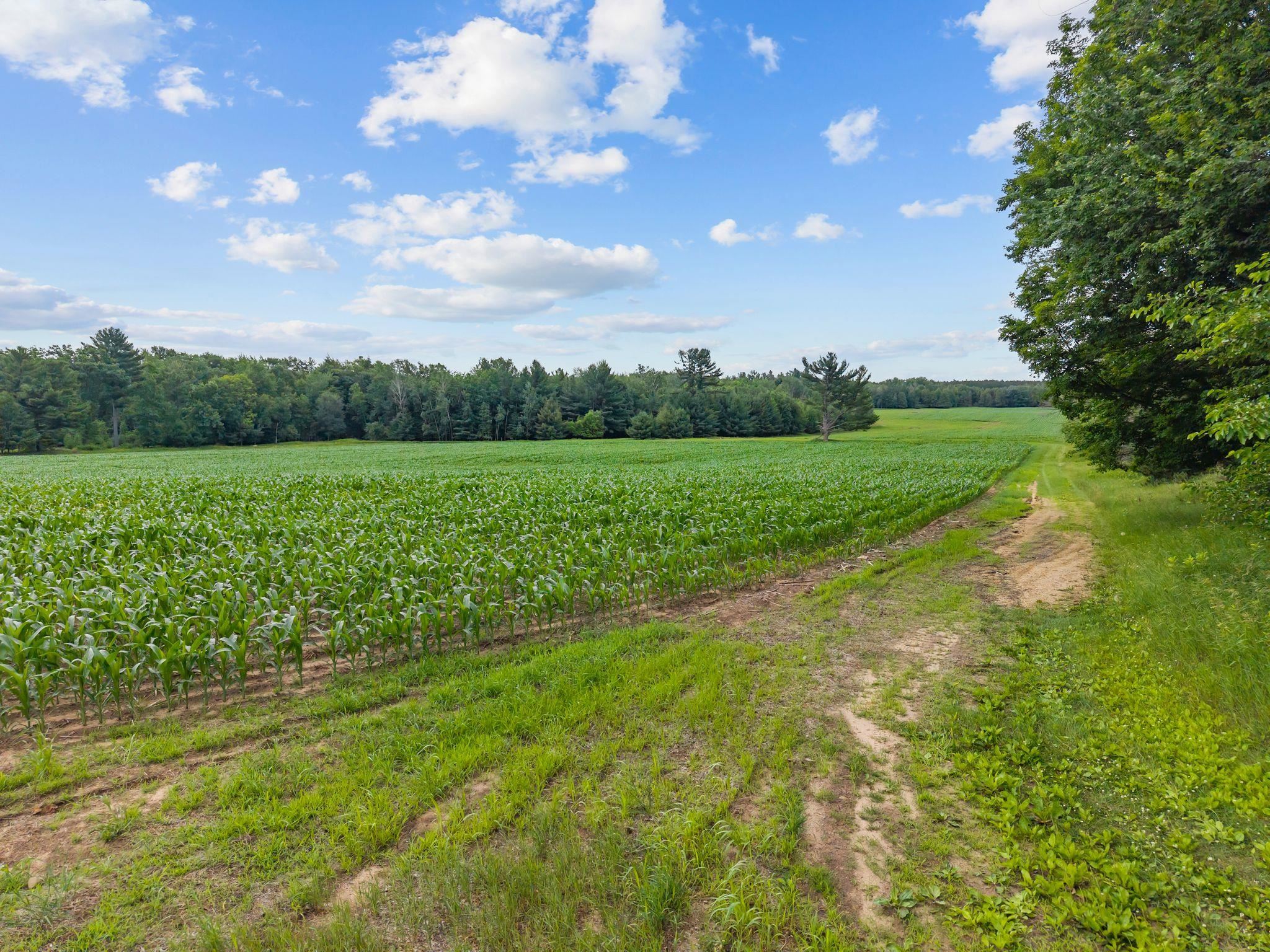W5999 County Rd T Shawano, WI 54166 - Photo 8 of 38