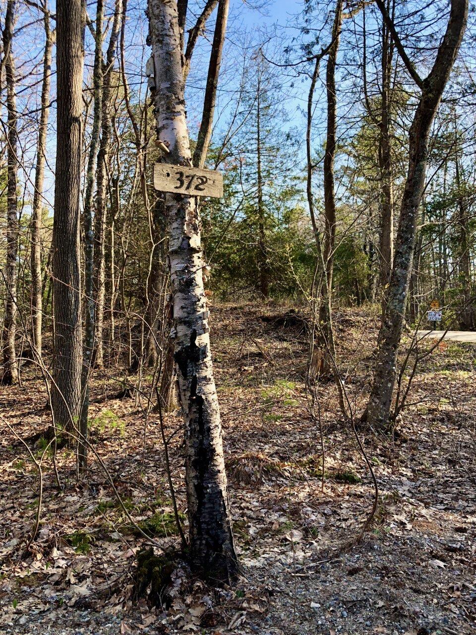 Lot # Bald Head Road Bath, ME 04530 - Photo 4 of 4 IMG_0360