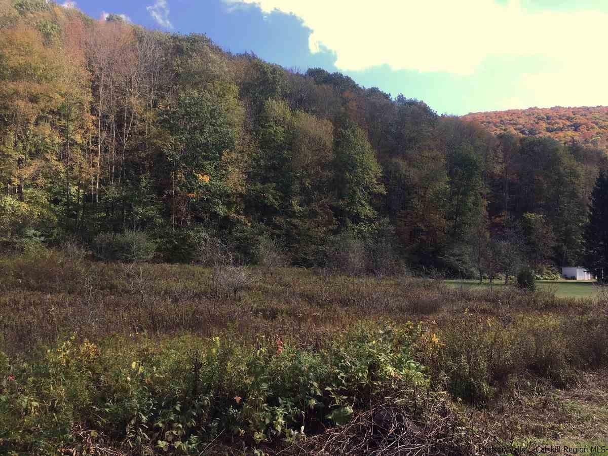 42 Tbd Route Shandaken, NY 12480 - Photo 2 of 8 Photo 2