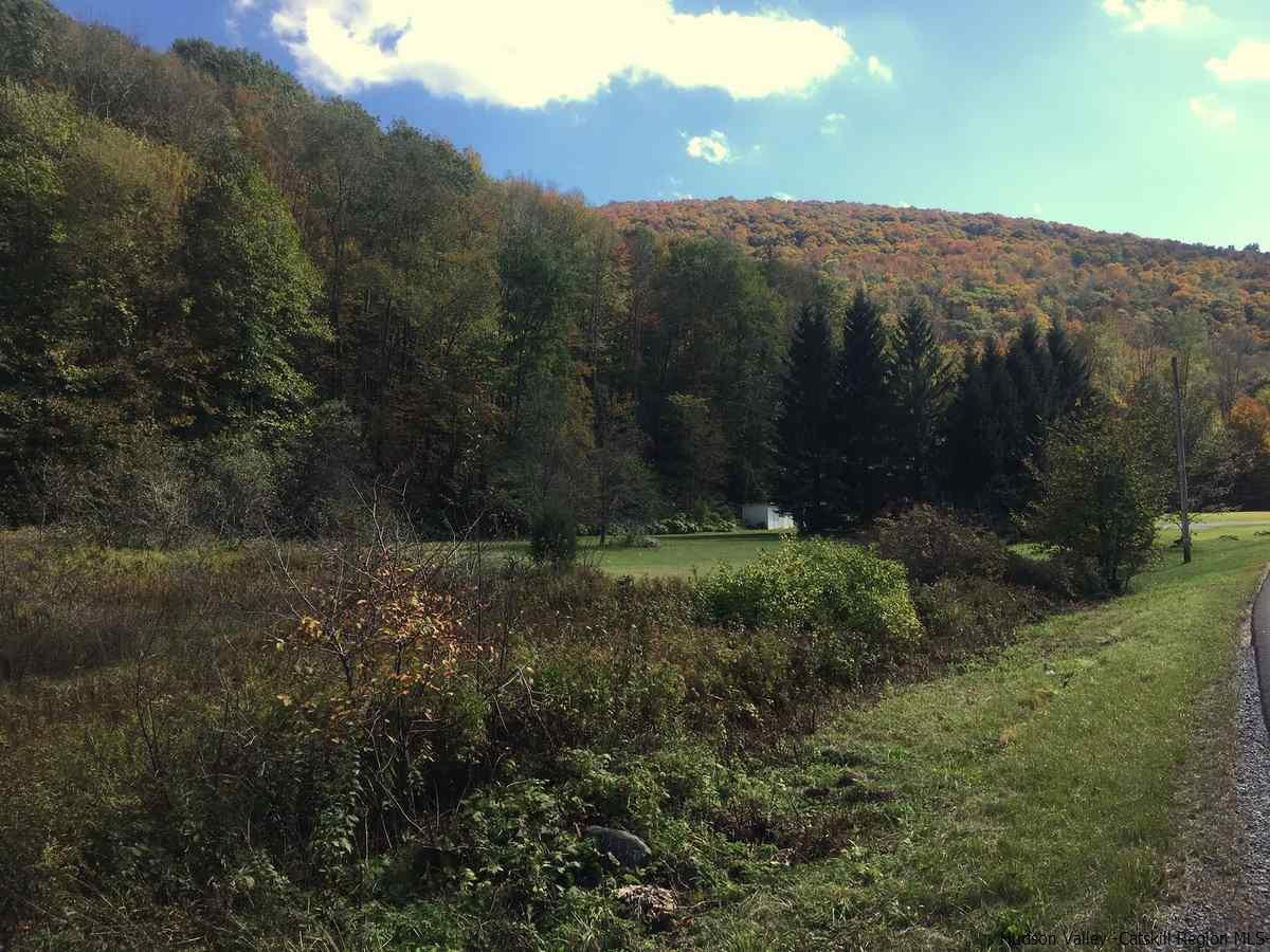 42 Tbd Route Shandaken, NY 12480 - Photo 3 of 8 Photo 3