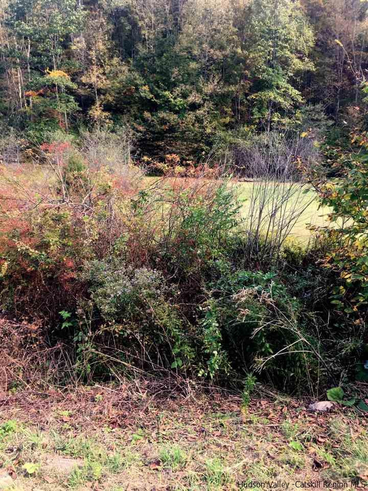 42 Tbd Route Shandaken, NY 12480 - Photo 5 of 8 Photo 5