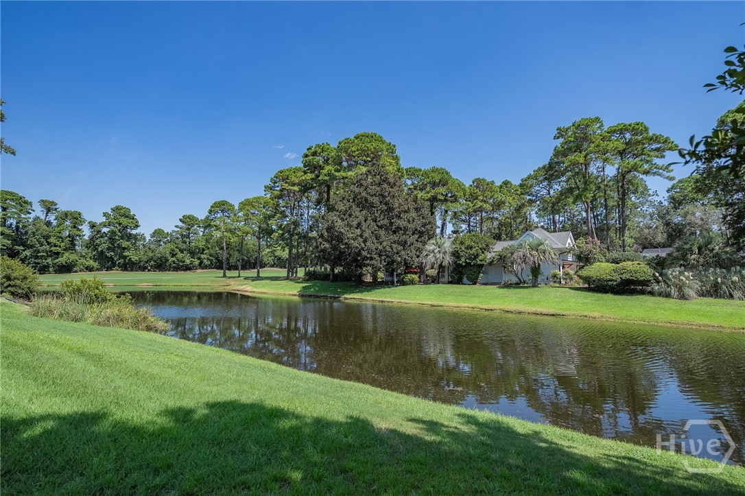 1 Breakfast Court Savannah, GA 31411 - Photo 21 of 26