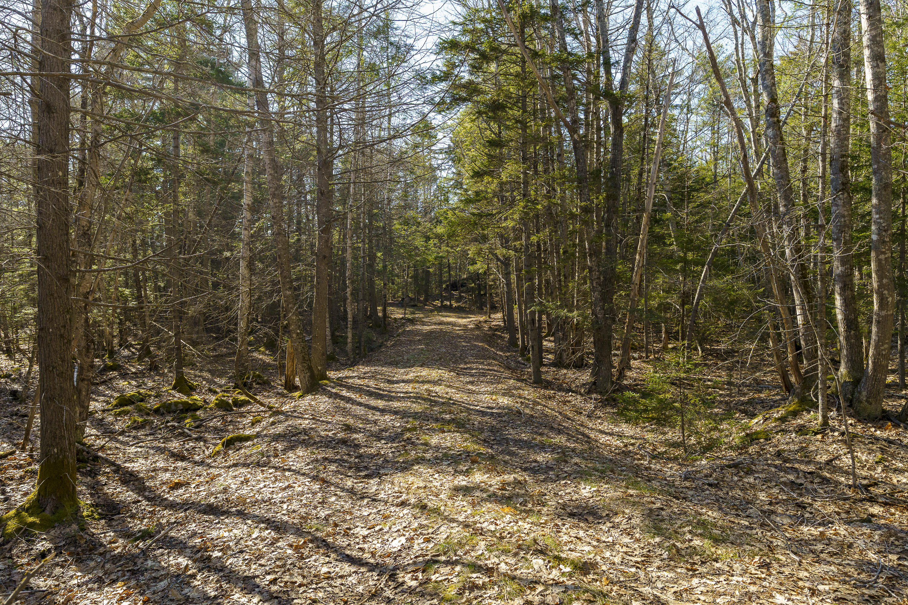 1357 Main Road Westport Island, ME 04578 - Photo 38 of 38